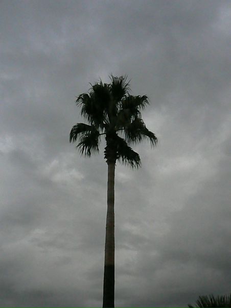 №84, Евгений Ипатов, Калининград, Россия №84, Евгений Ипатов, Калининград, Россия