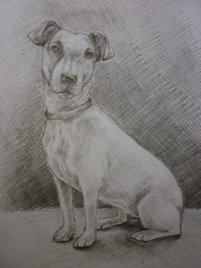 Елизавета Бабешко | Севастополь