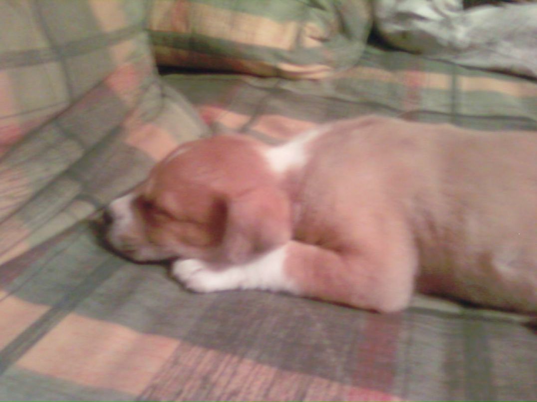 Станислав Кавлюк | Черновцы