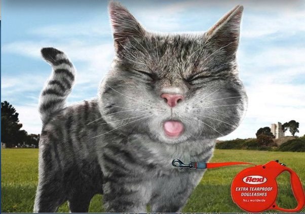 Серафима Чертова | 