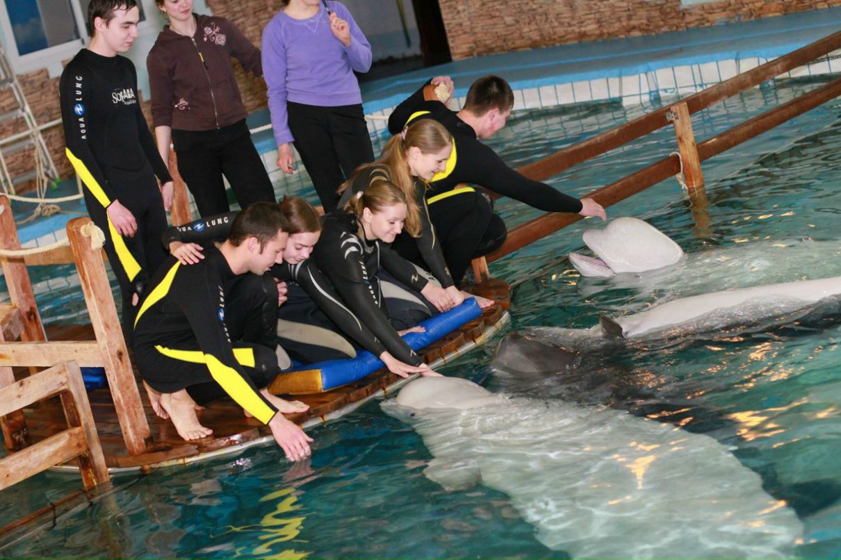 Роман Степанов Андреевич | Ярославль