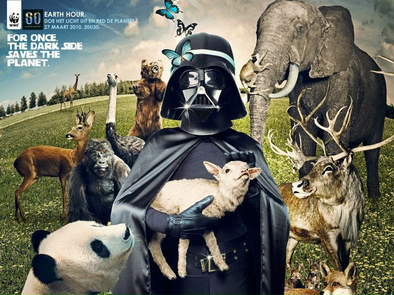 Igor Kucher | Житомир