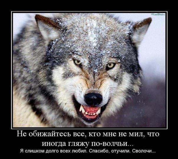 Андрей Ефимов | Бижбуляк