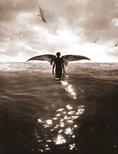 Екатерина Майн Meer-Himmel | Atlanta