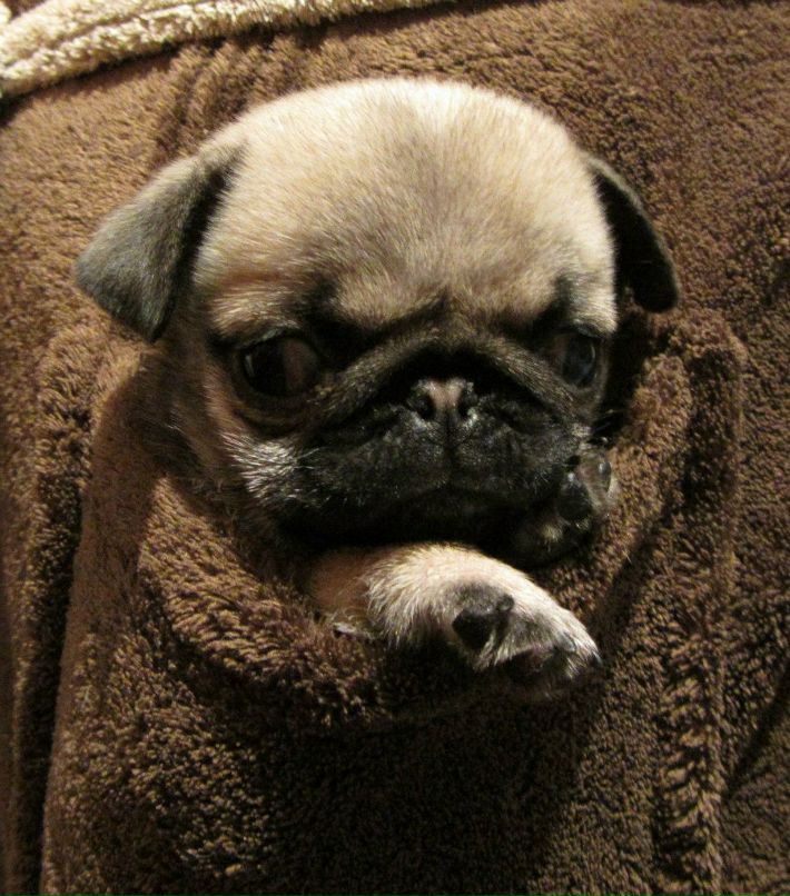 Оксана Хугаева | Владикавказ