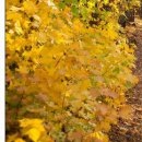 №179, Олег Водинов, Череповец №179, Олег Водинов, Череповец