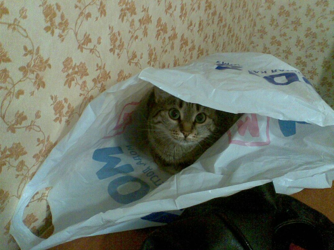 Ольга Долгих | Воронеж