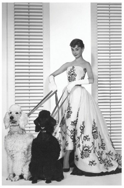 Надежда Пикина | Иваново