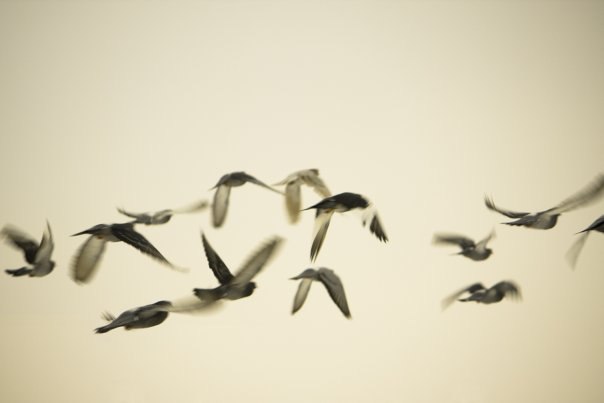 Карина Коромыслова ★ | Бережки