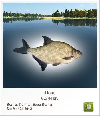 Олександр Кривоносюк | 