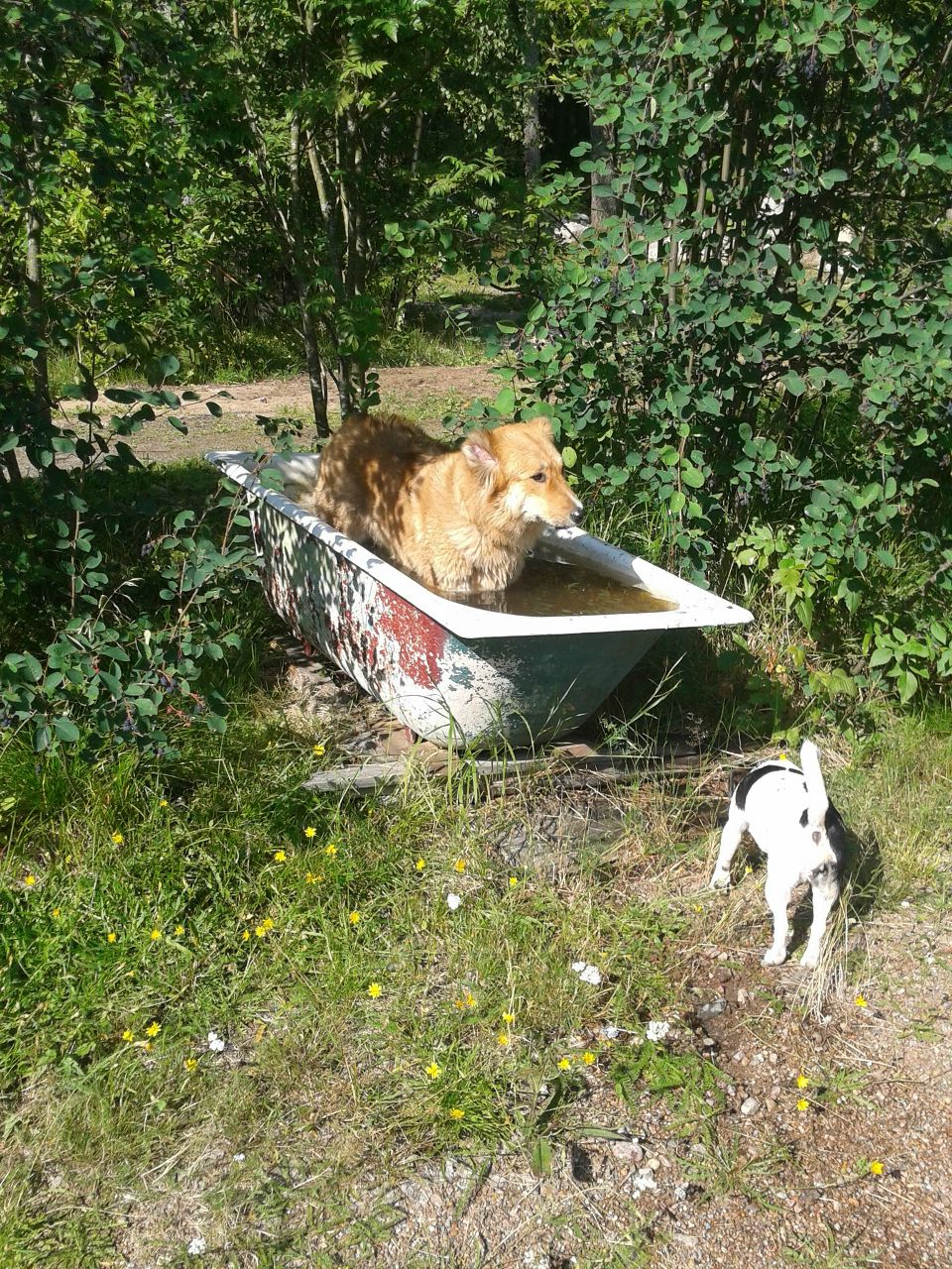 Алексей Кузнецов | Санкт-Петербург