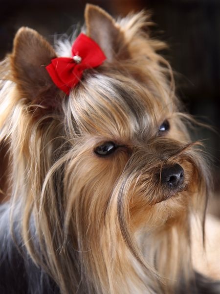 №46, Даша Шматова №46, Даша Шматова