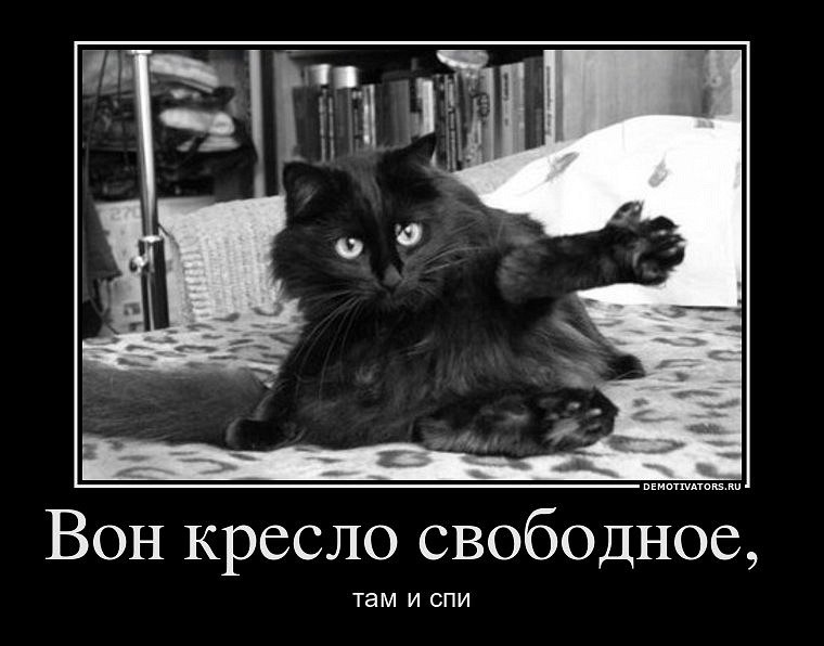 Александр Александров | Sydney