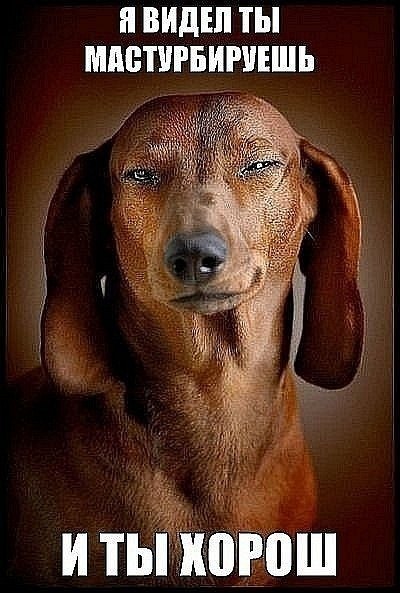 Александр Смородин | Курган