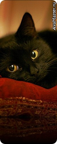 Денис Корноухов | Альметьевск