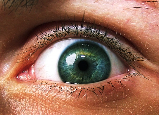 №84, Владимир Сауров №84, Владимир Сауров