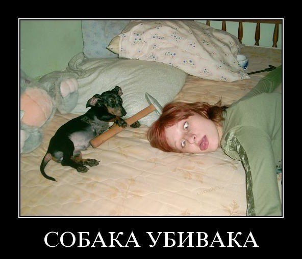 Андрей Лефутуренко | Киев