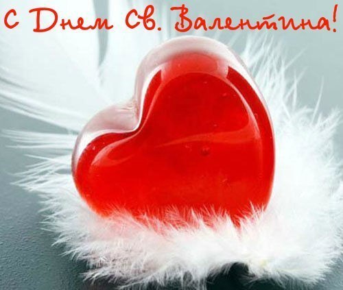 Вадим Панчук | Перковцы