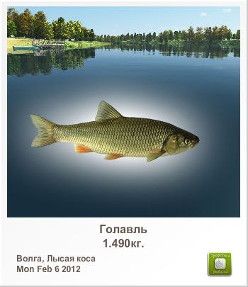 Александр Марченко | Витебск