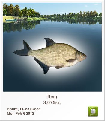 Александр Марченко | Витебск