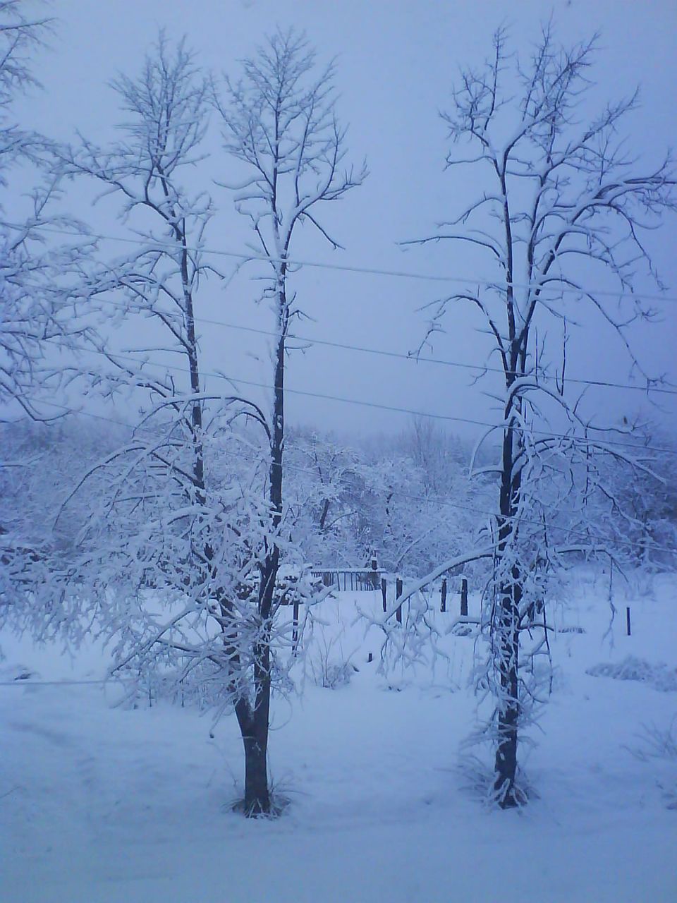 Сергей Балаховский | Житомир
