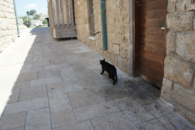 Сергей Чубуков | Москва