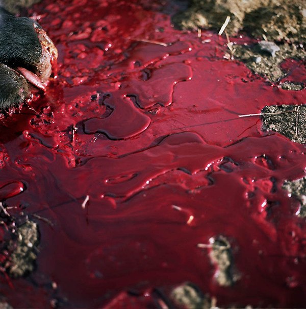 Дмитрий Хорун | Казань