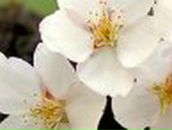 Аня Трунова | Алматы