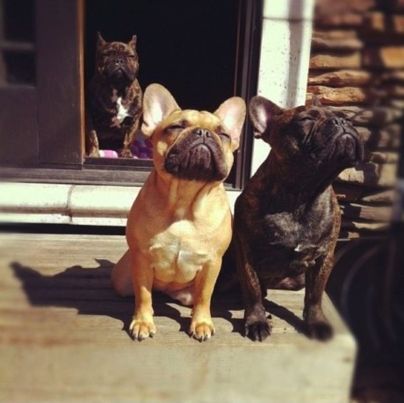 Дарья Шуклина | Москва