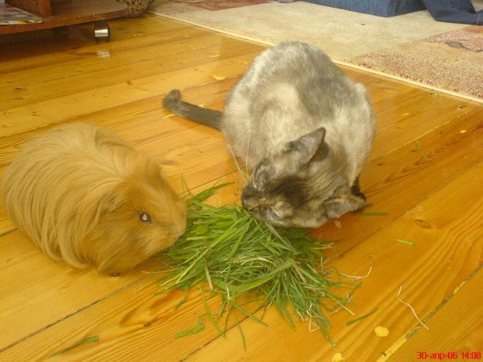 Ваня Иванов | Одесса