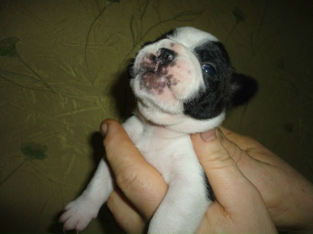 Александр Цап | Харьков