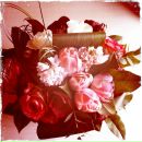 №22 Olya Karaseva 17.11: профиль, фото, статус - ВКонтакте №22 Olya Karaseva 17.11: профиль, фото, статус - ВКонтакте