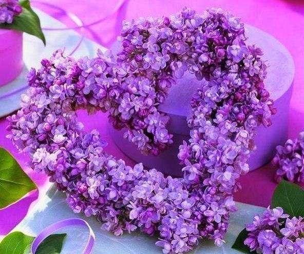 Алёна Росолько | Минск