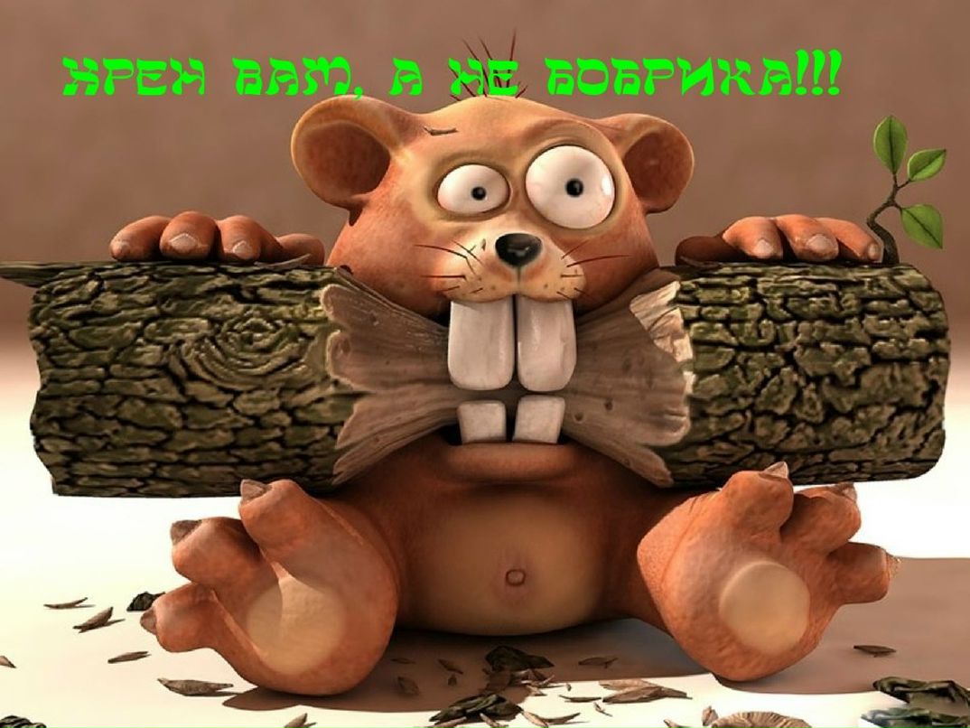 Лёха Поляков | Тамбов