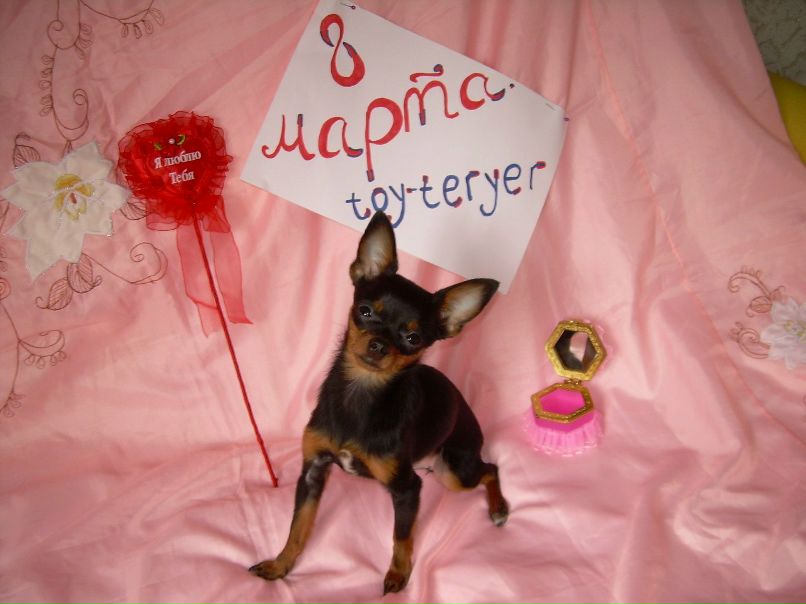 Аня Ковальская | Куйтун