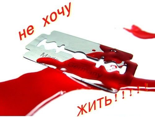 №58, Анастасія Король, Ставище №58, Анастасія Король, Ставище
