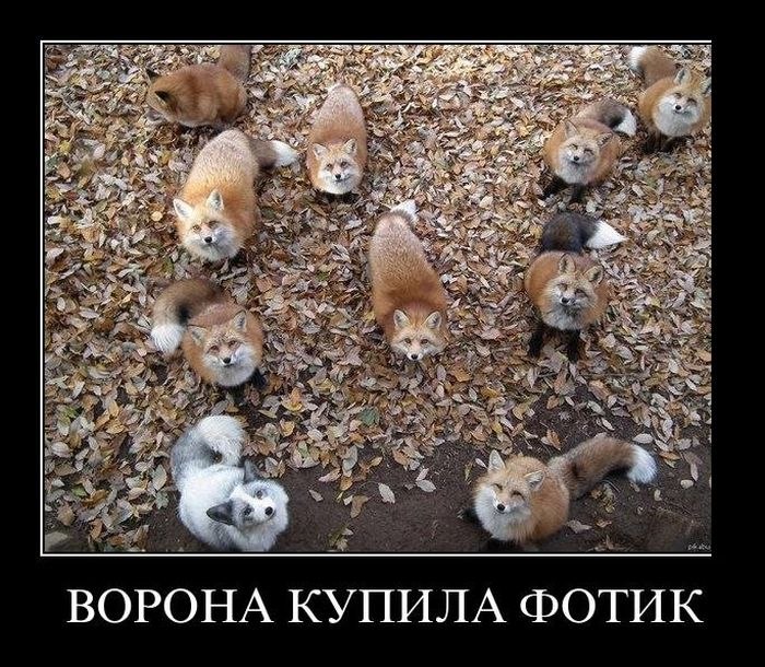 Юля Родионова (Eva Toya) | Санкт-Петербург