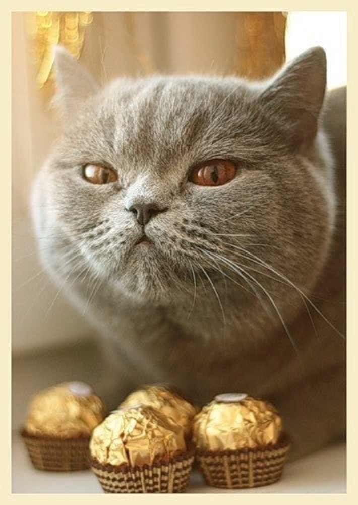 Victoria Kornienko | Киев