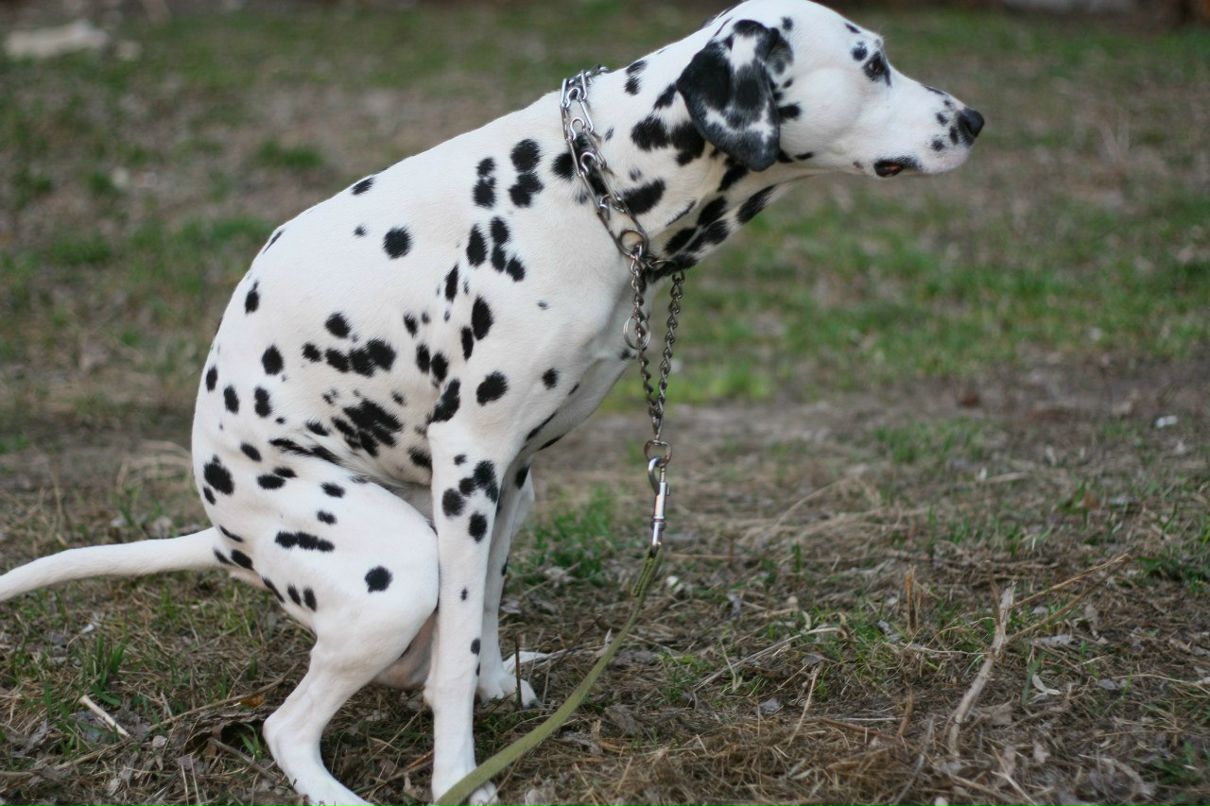 Славик Аджигитов | Москва