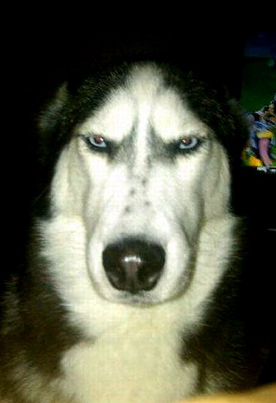 №148, Епишь Оней, Киев №148, Епишь Оней, Киев