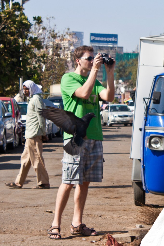 Александр Залесов zall | Москва