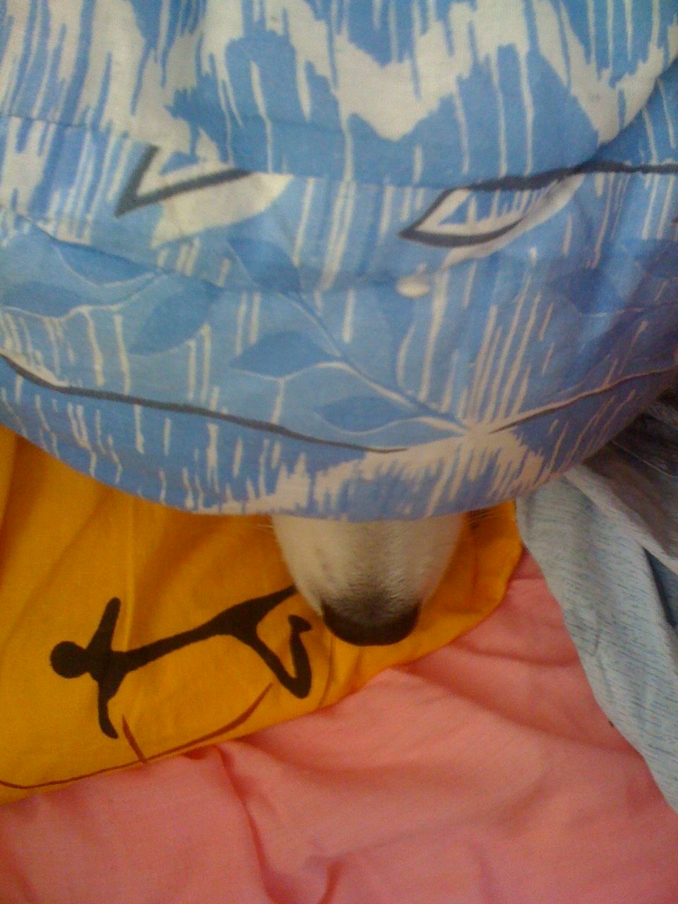 Елена Хлоповских | Москва