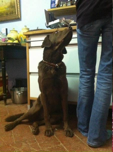 №21, Nina Filimonova №21, Nina Filimonova