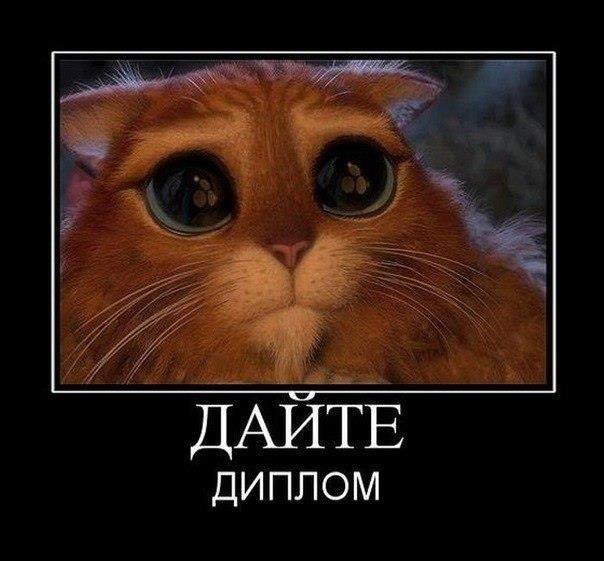 Ouss Fer tunisiano | Полтава