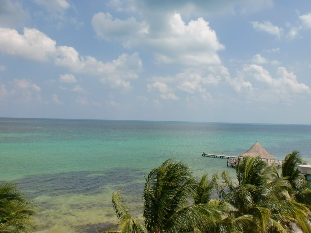 Ольга Шерстенникова | Санкт-Петербург