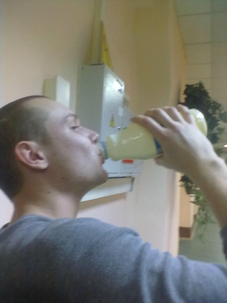 Александр Корнилов | 