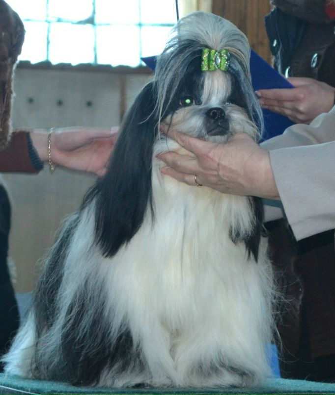 Оля Фартушна | Кривой Рог