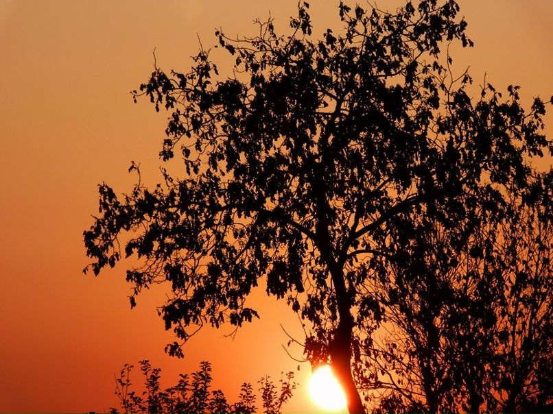 Александр Колбасевич | Cluj-Napoca