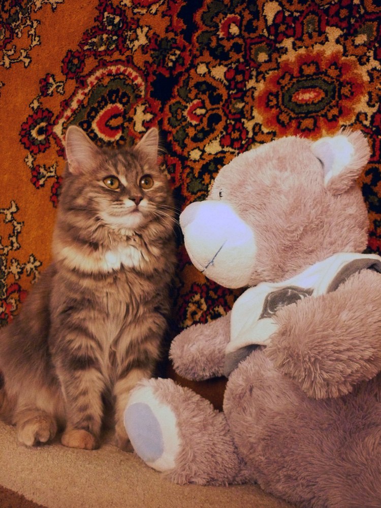 Евгения Кулешова | Тамбов