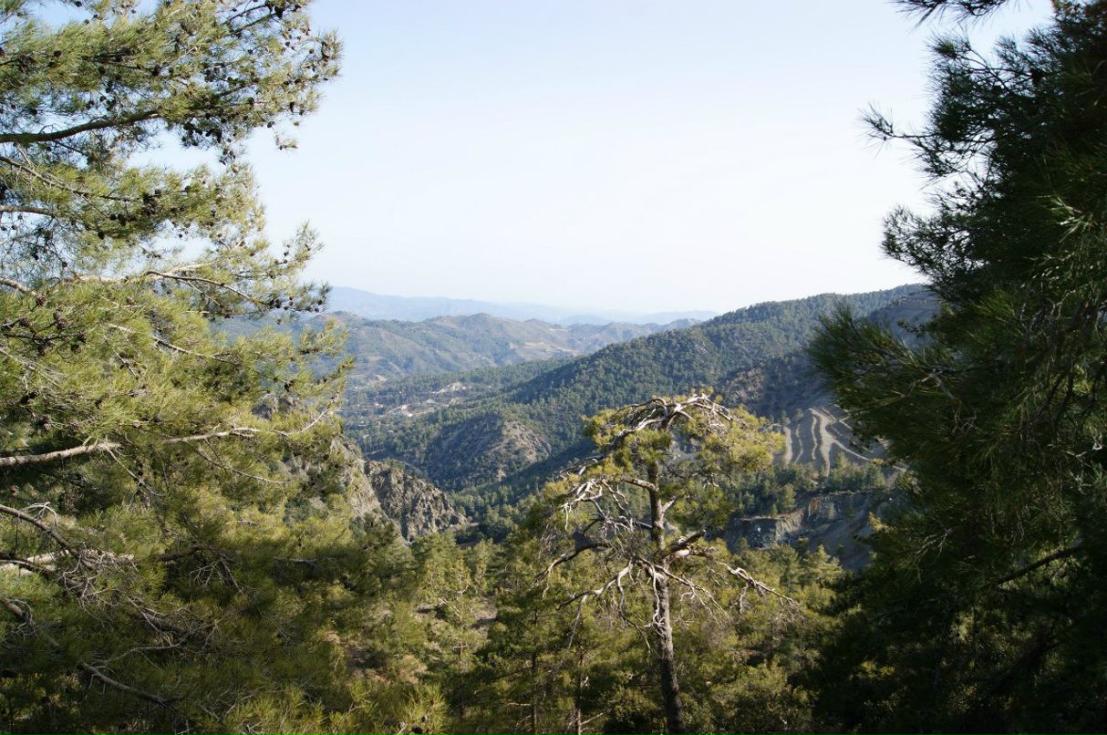 Анатолий Зырянов | Москва